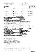 Đề thi học kì I môn Sinh học Lớp 11 - Mã đề 132 - Trường THPT Lê Lợi